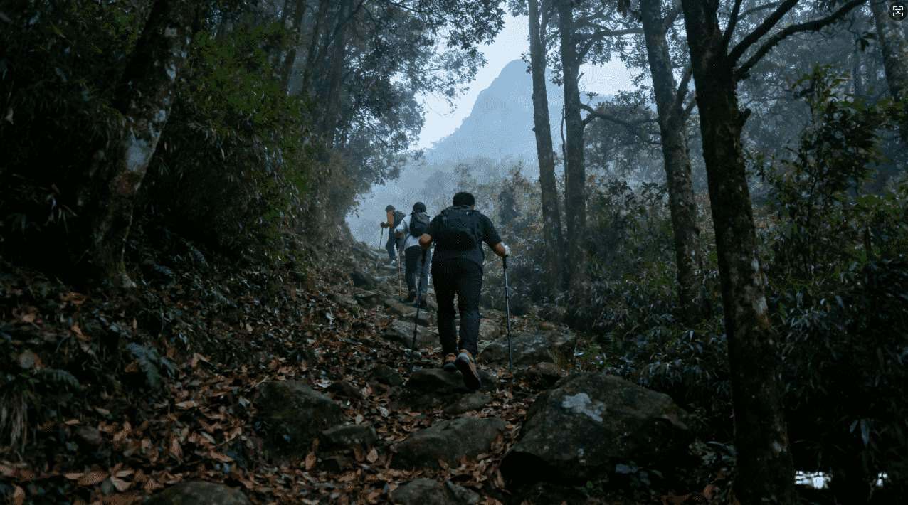 小牛电动车加速器软件下载完整操作指南及详细步骤解析